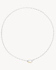 Carabiner Necklace